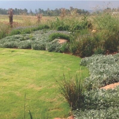 Landscaping_Centurion_ Gauteng7