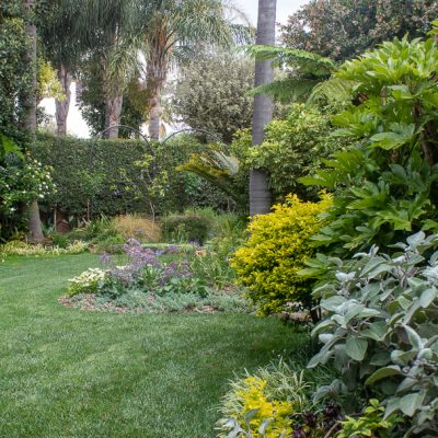 Green lawn with landscaped garden